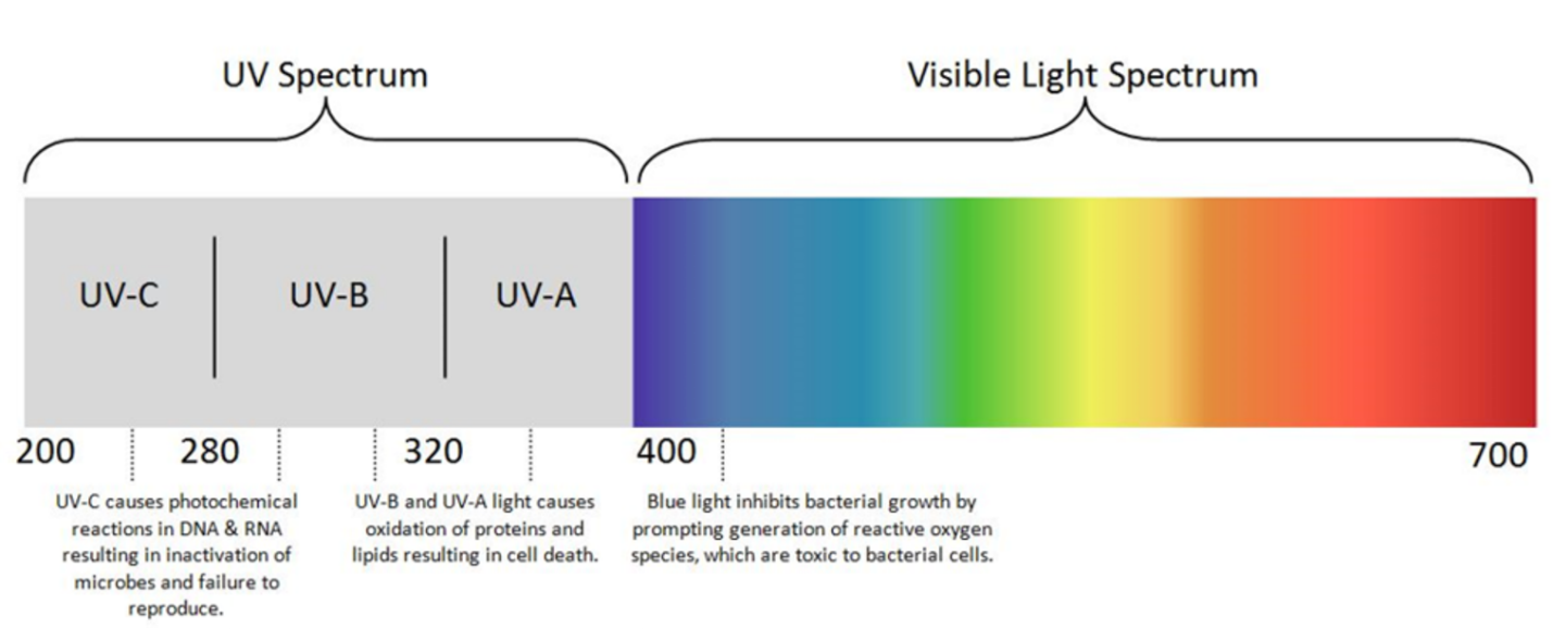 What is the light spectrum of different UV lights
